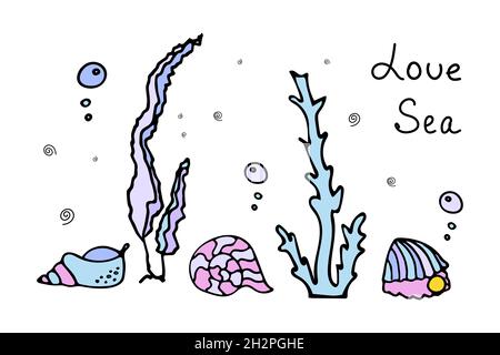 Set von farbigen Muscheln mit Perlen mit Luftblasen in der Nähe von Algen. Doodle-Stil mit Schriftzug. Phrase Liebe das Meer. Stock Vektor