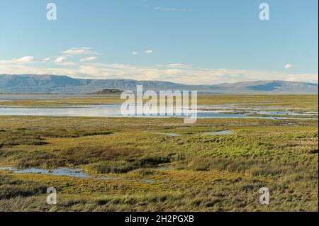 Nasse Steppe in El Calafate - Patagonien. Stockfoto