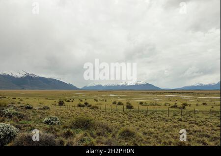 Nasse Steppe in El Calafate - Patagonien. Stockfoto