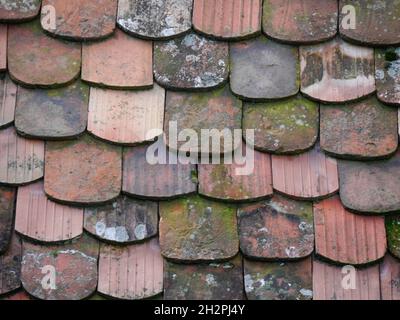 Nahaufnahme von Fliesen auf dem Dach, Sibiu, Rumänien. Hochwertige Fotos Stockfoto