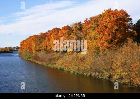 Wunderschöne Herbstfarben am Seeufer Stockfoto