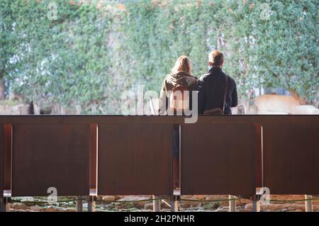 Ein Paar besucht das Amphitheater House of Merida. Extremadura, Spanien Stockfoto