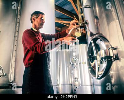 HI-TECH Weinkeller Technologie Französische alte & neue Techniken Qualitätsverkostungskontrolle moderner französischer Weinbau Kellermeister zieht erstklassigen Cru-weißen chardonnay-Wein aus dem Hi-Tech-Reifungstank zur Verkostung und Qualitätskontrolle. Weingut Louis Latour Château de Grancey, Burgund Frankreich Stockfoto