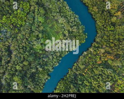 Dschungelwald-Luftlandschaft, gewundener Blick auf den Fluss von oben, Natur und Wildnis Stockfoto