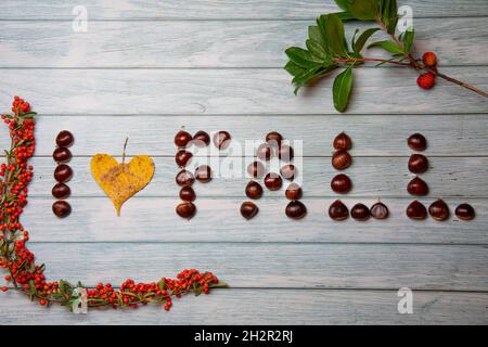 Inschrift 'I love Fall' aus Kastanien auf weißem rustikalem Hintergrund, verziert mit orangefarbenen Waldbeeren Stockfoto