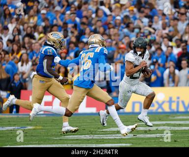 Pasadena, Kalifornien, USA. Oktober 2021. Oregon Ducks läuft zurück Travis Dye #26 trägt den Ball während des NCAA-Fußballspiels zwischen den UCLA Bruins und den Oregon Ducks beim Rose Bowl in Pasadena, Kalifornien. Obligatorischer Bildnachweis : Charles Baus/CSM/Alamy Live News Stockfoto