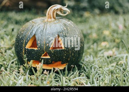Nahaufnahme eines geschnitzten Kürbisses auf einer grünen Grasfläche. Halloween Deko Konzept Stockfoto