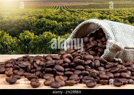 Geröstete Kaffeebohnen in Jute-Beutel auf dem Holztisch, mit Kaffee Feld Farm Hintergrund in Brasilien Stockfoto