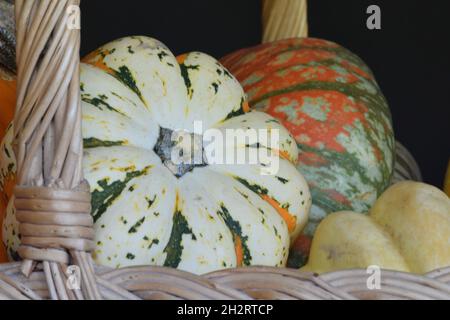 Kürbisse in einem Korb, Nahaufnahme Stockfoto