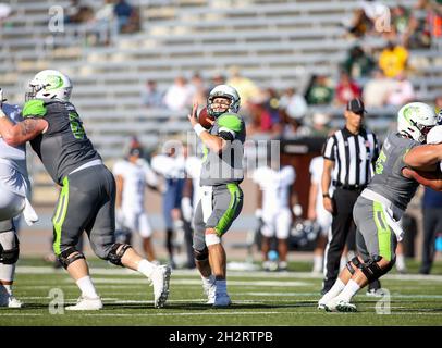 Birmingham, Alabama, USA. Oktober 2021. UAB Blazers Quarterback Dylan Hopkins (9) wirft während eines NCAA-Fußballspiels zwischen den UAB Blazers und den Reiseulen im Protective Stadium in Birmingham, Alabama, aus der Tasche. Reis besiegte UAB 30-24. Brandon Sumrall/CSM ***korrigiert eine frühere Version mit falschen Metadaten und Headline*. Kredit: csm/Alamy Live Nachrichten Stockfoto