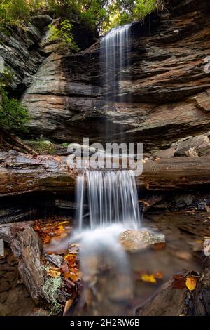 Moore Cove Falls - Pisgah National Forest, Brevard, North Carolina, USA Stockfoto