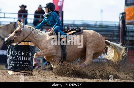 Orangeville, Kanada. Oktober 2021. Ein Cowgirl tritt am 23. Oktober 2021 in Orangeville, Ontario, Kanada, bei den RAM Rodeo Tour Championship Finals 2021 im Barrel Racing an. Quelle: Zou Zheng/Xinhua/Alamy Live News Stockfoto