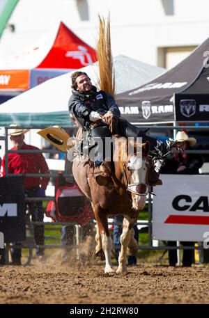 Orangeville, Kanada. Oktober 2021. Ein Cowboy tritt am 23. Oktober 2021 während der RAM Rodeo Tour Championship Finals 2021 in Orangeville, Ontario, Kanada, an. Quelle: Zou Zheng/Xinhua/Alamy Live News Stockfoto