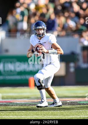 Birmingham, Alabama, USA. Oktober 2021. Der Quarterback Wiley Green (5) sucht während eines NCAA-Fußballspiels zwischen den UAB Blazers und den Reiseulen im Protective Stadium in Birmingham, Alabama, nach einem Empfänger. Reis besiegte UAB 30-24. Brandon Sumrall/CSM/Alamy Live News Stockfoto