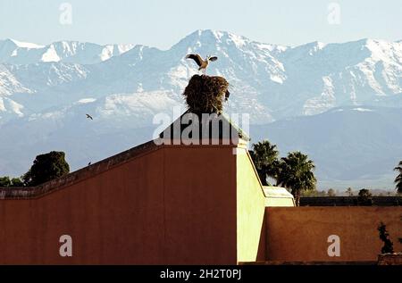 MAROKKO. MARRAKESCH, EL BAADI PALACE Stockfoto