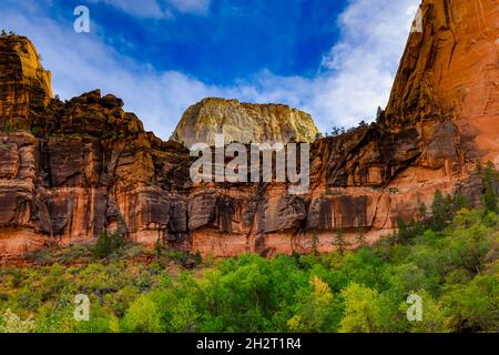 Von hier aus hat man einen Blick auf den Great White Throne, eines der bekanntesten Wahrzeichen im Zion National Park, Utah, USA. Stockfoto