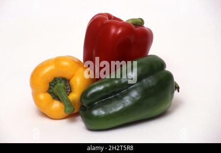 STUDIO-BILD VON FRISCH GEERNTETEN ROTEN, GRÜNEN UND GELBEN CAPSICUMS (PAPRIKA) VOR WEISSEM HINTERGRUND. Stockfoto