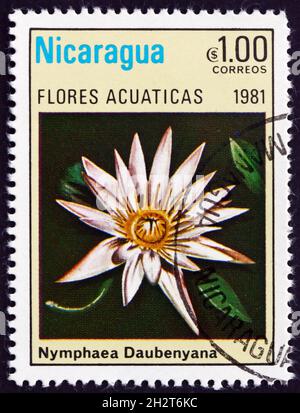 NICARAGUA - UM 1981: Eine in Nicaragua gedruckte Marke zeigt nymphaea daubenyana, Wasserblume, um 1981 Stockfoto