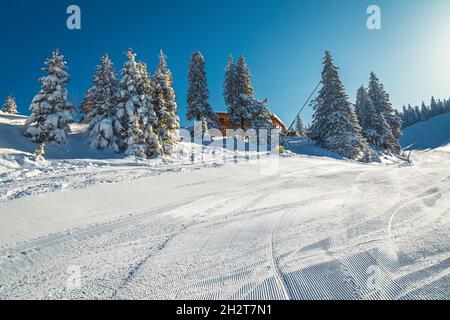 Erstaunliche verschneite Landschaft mit niedlichen Holzchalet im verschneiten Pinienwald auf dem Hügel. Malerische Skirouten auf den Skipisten mit schneebedeckten Kiefern Stockfoto