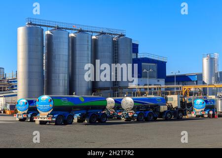 Eine Fonterra-Milchfabrik mit Milchtankern, die draußen in Tirau, Neuseeland, geparkt sind. Die Molkereikooperative Fonterra ist Neuseelands größtes Unternehmen Stockfoto