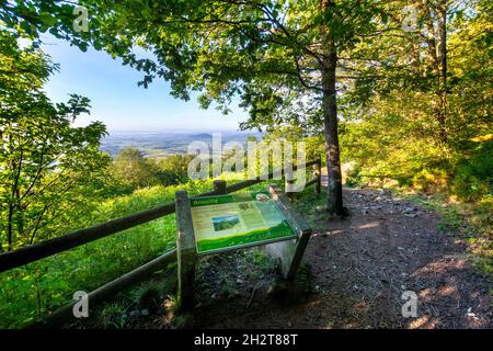 Sentier des 10 Crus depuis la Terrasse de Chiroubles, Beaujolais Stockfoto