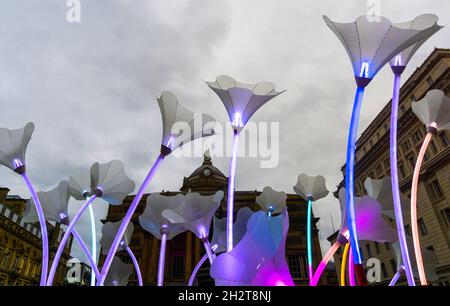 Liverpool Town Hall bei Nacht mit River of Light Tulpen Street Art Stockfoto