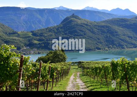 Blick auf den Kalterer See in Südtirol Stockfoto