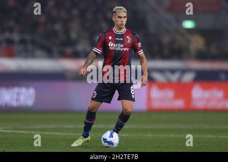 Bologna, Italien, 23. Oktober 2021. Nicolas Dominguez vom FC Bologna während des Spiels der Serie A in Renato Dall'Ara, Bologna. Bildnachweis sollte lauten: Jonathan Moscrop / Sportimage Stockfoto