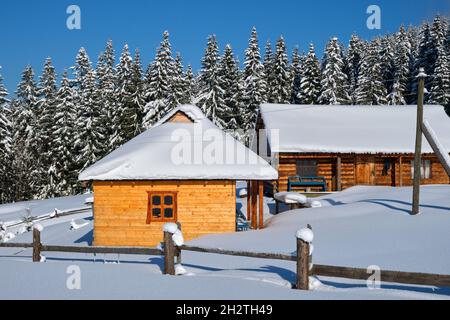 Kleines Holzhaus mit frischem Schnee bedeckt, umgeben von hohen Pinien in den Winterbergen. Stockfoto