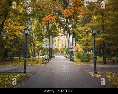 Regnerische Herbstsaison Morgen im leeren Stadtpark. Schöne Aussicht und Stille, bunte Blätter auf dem Boden gefallen und Gassen von Stephen III der GRE Stockfoto