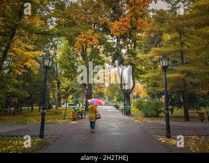 Frau mit Regenschirm, die an einem regnerischen Tag durch die leeren Gassen des Herbstparks läuft. Stille Szene, bunte Blätter auf dem Boden gefallen und Spuren von Steph Stockfoto