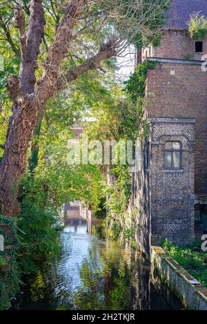 Schöner Blick auf einen ruhigen Kanal an einem sonnigen Herbsttag im historischen Zentrum von Brügge, Belgien Stockfoto