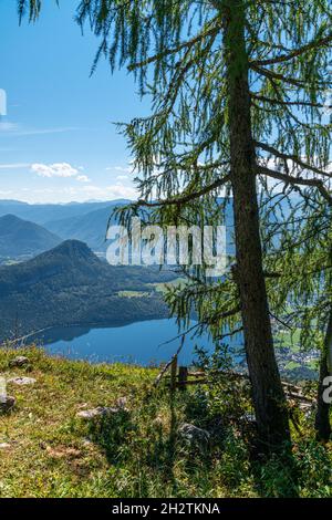 Panoramablick auf den Altausseersee, Ausseerland, Salzkammergut, Österreich Stockfoto