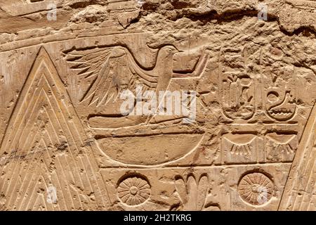 Altägyptische Wandmalereien und Schriften an den Steinmauern des Karnak-Tempels in Luxor Stockfoto