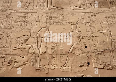 Altägyptische Wandmalereien und Schriften an den Steinmauern des Karnak-Tempels in Luxor Stockfoto