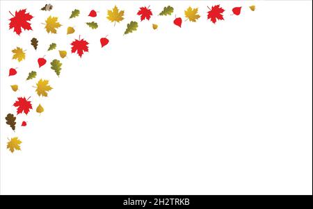 Vektor Hintergrund mit Ahorn, Eiche und Birke fallen Herbstblätter. Rot und gelb. Stock Vektor