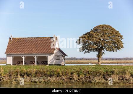 Isoliertes Haus und Bäume mit Herbstlaub auf einem Deich entlang des Flusses Somme. Saint-Valery, Frankreich Stockfoto