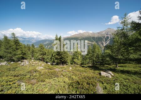 Landschaft auf dem wanderweg grächen - saaf Fee, im Kanton wallis in der schweiz. Der Weg bietet eine fantastische Aussicht. (Höhenweg Grächen - Saas- Stockfoto