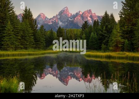 Alpenglow und Reflektion im Schwabacher Landing, Grand Teton National Park, Wyoming Stockfoto