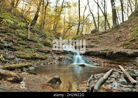 Ein Herbstmorgen am Parfrey's Glen Waterfall in Sauk County, WI in der Nähe des Devil's Lake State Park Stockfoto