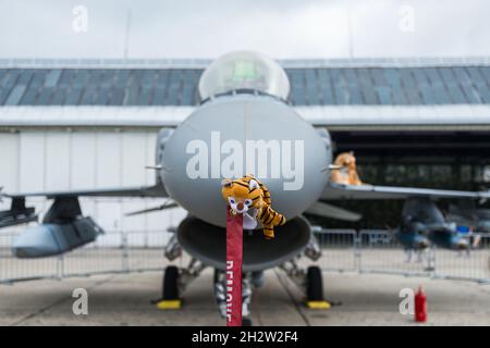 Radom, Polen - 25. August 2018: Radom Air Show - polnisches F-16 Tiger Demo Team Flugzeug (4054) Stockfoto