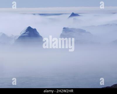 Mystische Betrachtung der Eisberge im Nebel der Arktis Stockfoto