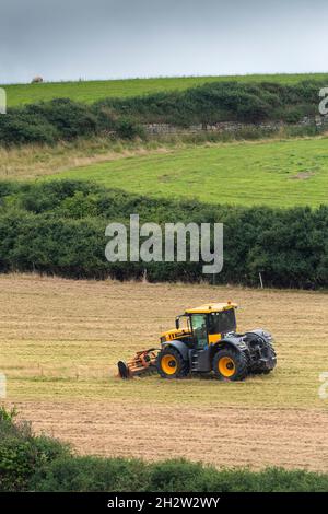 Ein JCB Fastrac 4220 Hochgeschwindigkeits-Landtraktor mit einem Teagle Flail Topper, der auf einem Feld in Newquay in Cornwall arbeitet. Stockfoto