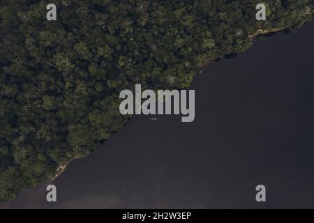 Wald und Fluss mit einem Boot in der Mitte. Foto aus einer Höhe. Stockfoto