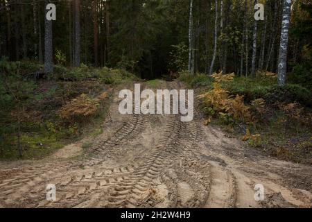 Radweg auf sandigen Boden von großen Transport, Traktor, sandige Straße Stockfoto