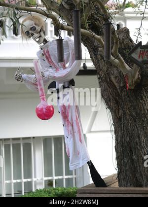 London, Großbritannien. Okt. 2021. Londoner schmücken ihre Häuser in Erwartung von Halloween 2021. Kredit: Brian Minkoff/Alamy Live Nachrichten Stockfoto