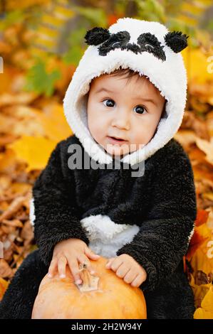 Glückliches kleines Kind im Panda Kostüm mit Kürbis. Trick or treat. Lustige Kinder. Entzückender Junge, der im Herbstpark spielt Kind, das den Spätsowert feiert Stockfoto