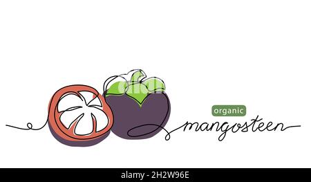 Mangostan exotische Früchte einfache Farbe Vektor Illustration. Eine kontinuierliche Linie Kunst Zeichnung mit Schriftzug Bio Mangostan Frucht Stock Vektor