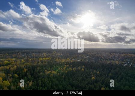 Über der Luftaufnahme von grünen Kiefernwäldern und gelben Laubwäldern mit einer wunderschönen Struktur aus goldenen Baumkronen. Wunderschöne Herbstsaison Landschaft. Landschaft in Herbstfarben in heller Tageszeit mit Wolken Stockfoto