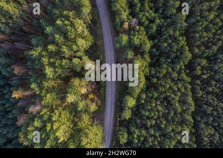 Luftaufnahme von der Drohne der Landstraße, die durch Herbstwälder und Haine in gelb-grünen Farben führt. Dichter Wald in goldener Zeit und leere Autobahn in der Herbstsaison. Straße zwischen bunten Baumwipfeln Stockfoto